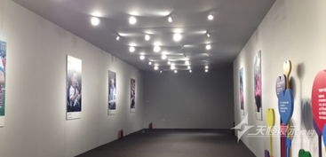 2013年成都寶馬愛(ài)心基金活動(dòng) 車系項(xiàng)目策劃與展覽展示紀(jì)實(shí)